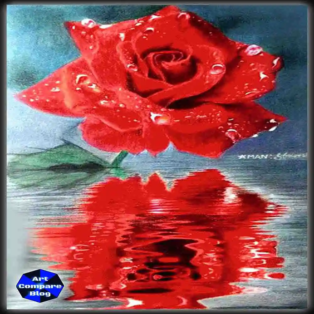 Red Rose Reflection Art