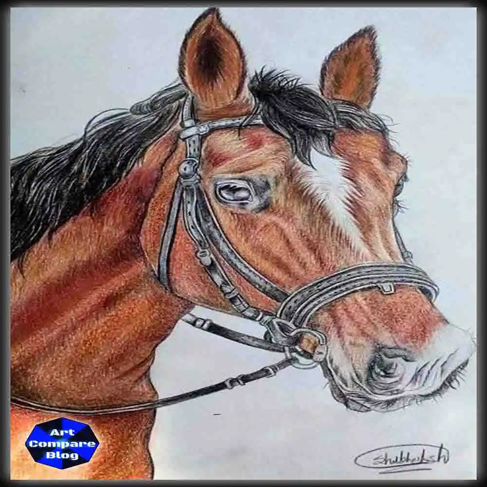 Realistic Horse Drawing with Bridle-Detailed Sketch Art