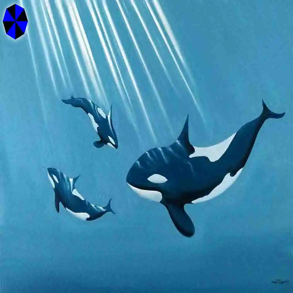 Orcas Swimming Under Ocean Sunlight