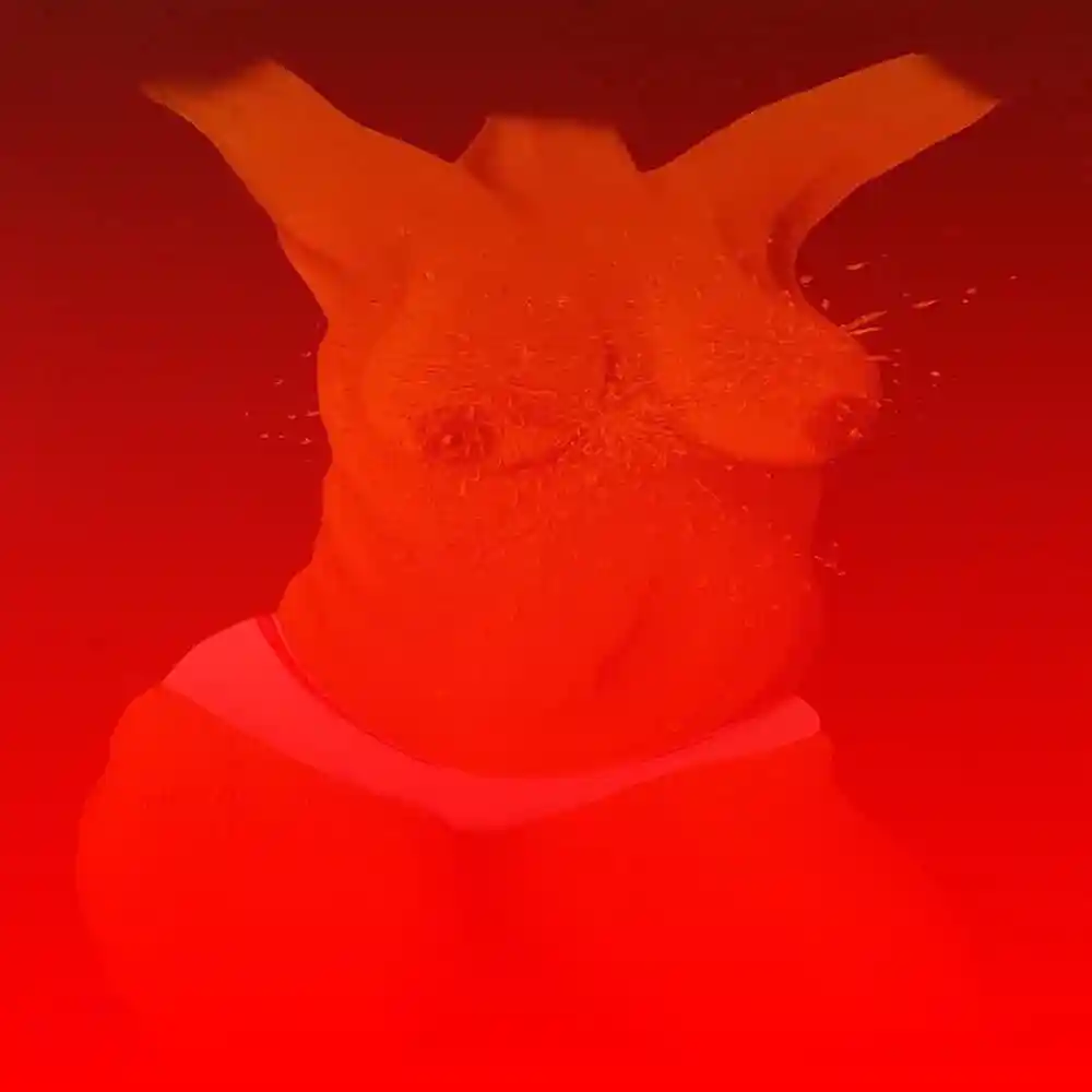 Abstract Female Torso Modern Art