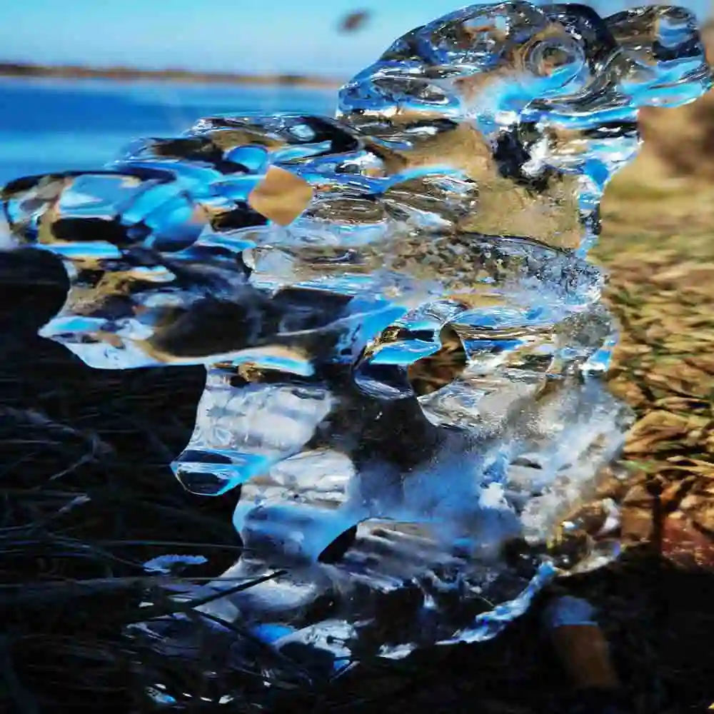 Beautiful Ice Sculpture by Nature