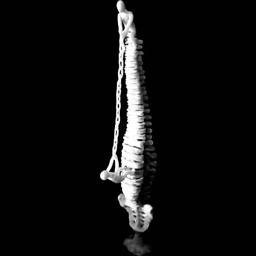 Surreal Human Spine Art Sculpture