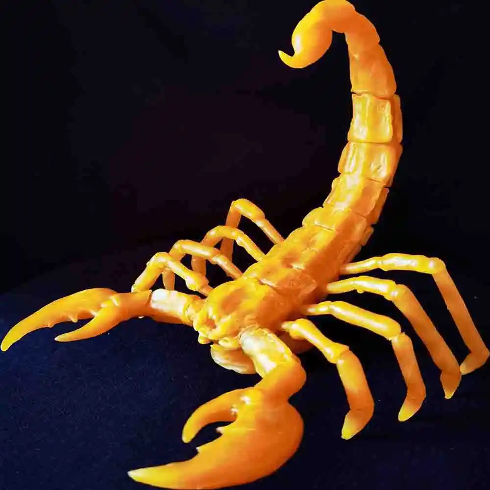 Realistic Orange Scorpion Model Display