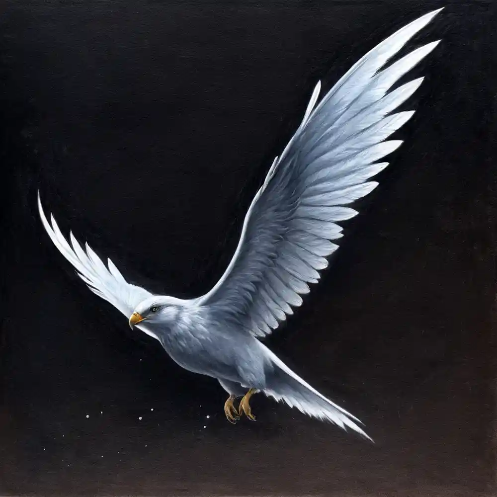 Black Background Realistic Pencil Sketch