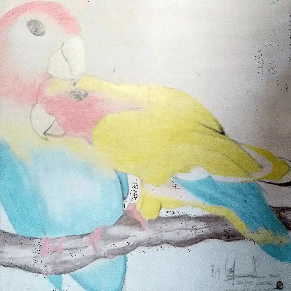 Colorful Parrot Birds Pastel Artwork