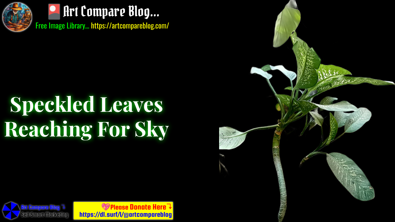 Speckled Leaves Reaching For Sky