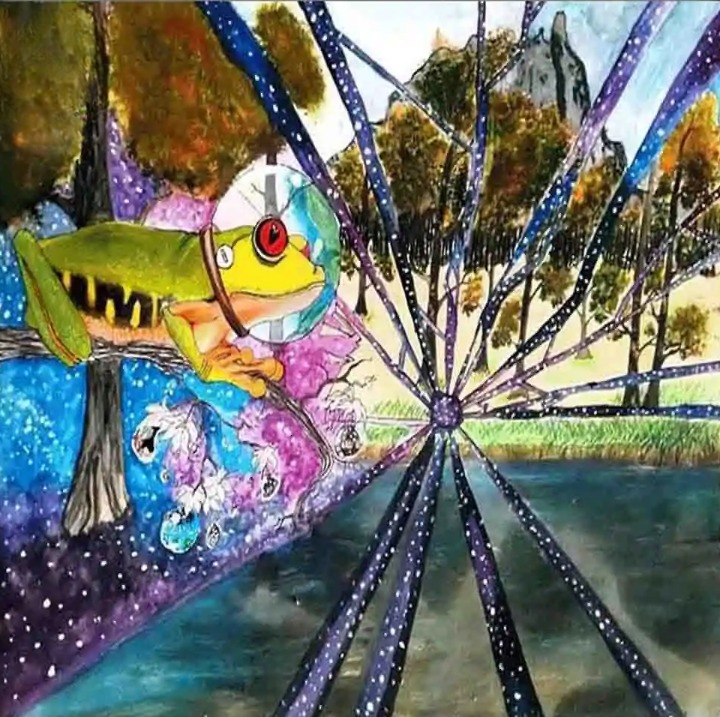 Cosmic Frog Astronaut Shattered Reality-1