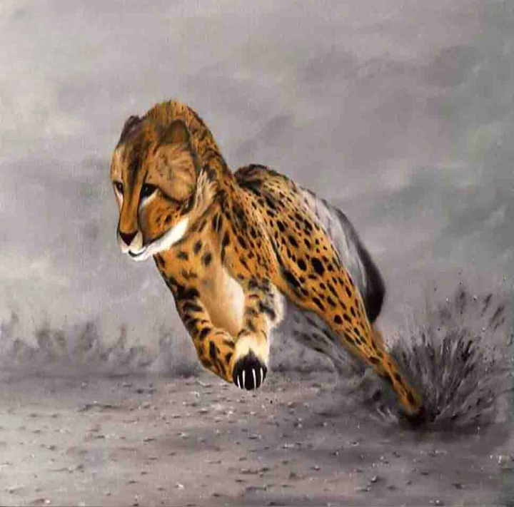 Fast Running Cheetah in Action