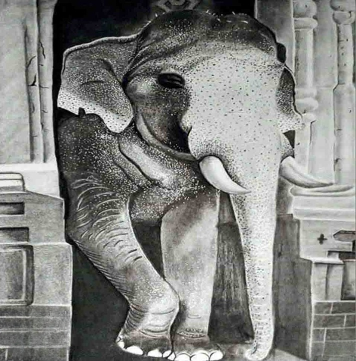 Realistic Elephant Pencil Sketch