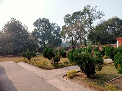 Tranquil Gardens Under Morning Haze