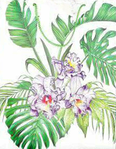 Tropical Orchids Among Lush Leaves-1